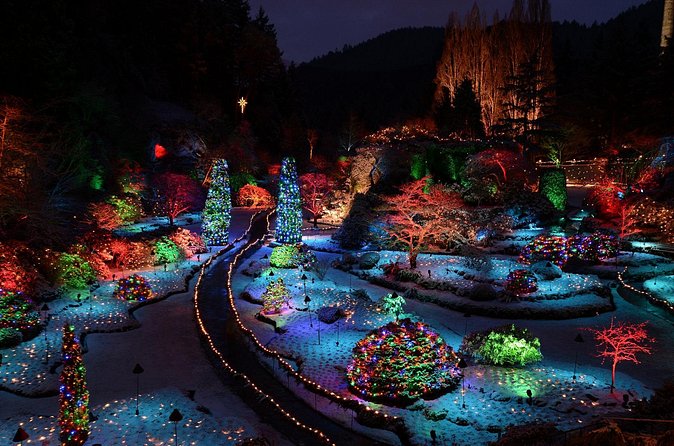 1 hour City Tour & Butchart Gardens: Christmas - Entry included! - What the guides add to the evening