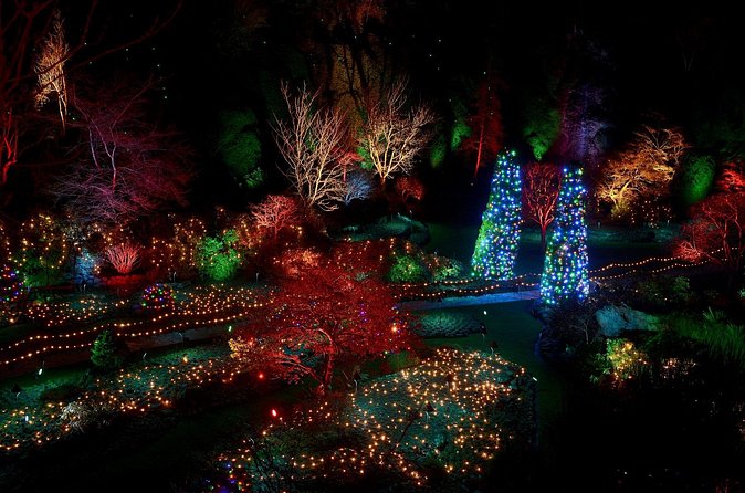 1 hour City Tour & Butchart Gardens: Christmas - Entry included! - Is $100.22 a fair price?
