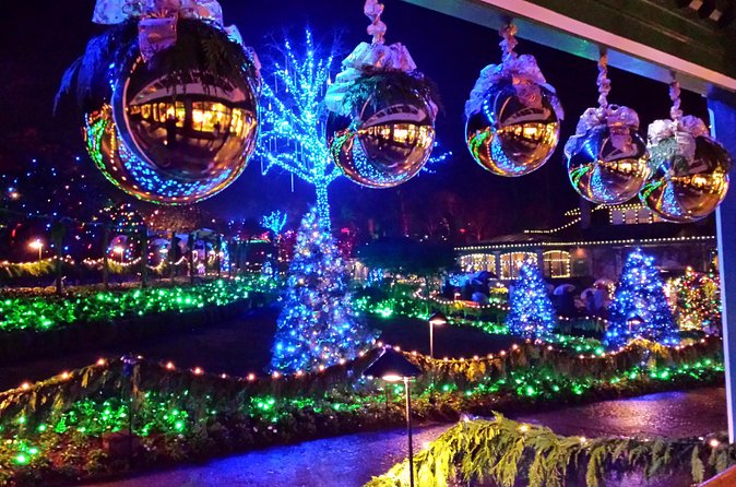 1 hour City Tour & Butchart Gardens: Christmas - Entry included! - Who should choose this tour?