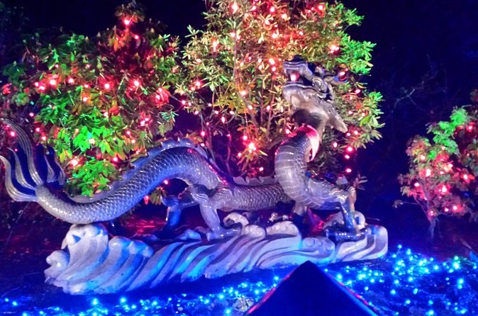 1 hour City Tour & Butchart Gardens: Christmas - Entry included! - Timing, weather, and comfort details