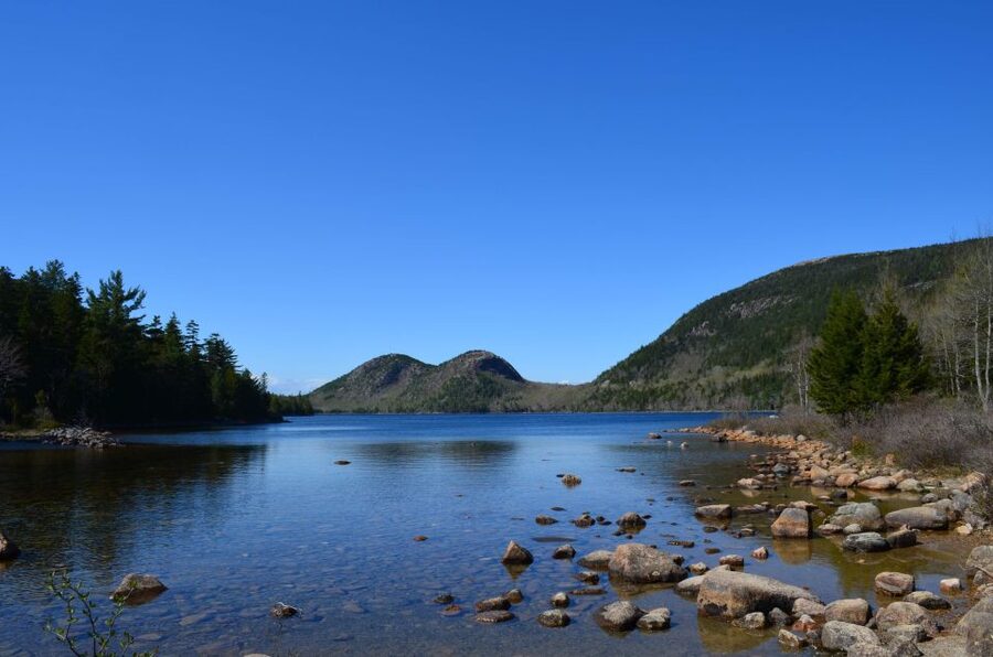 4 Hour Private Tour: Acadia, Fjord, Gardens & Mansions - Key points to know before you book