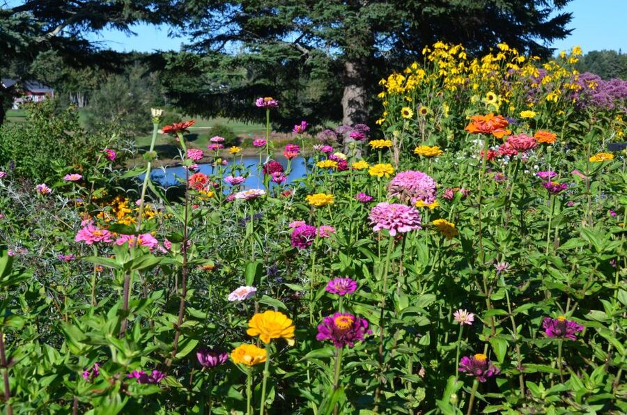 4 Hour Private Tour: Acadia, Fjord, Gardens & Mansions - Who will get the most from this Acadia tour?