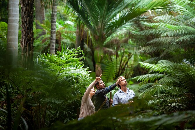 Aboriginal Heritage Walk - Royal Botanic Gardens Victoria, Melbourne Gardens - Key points at a glance