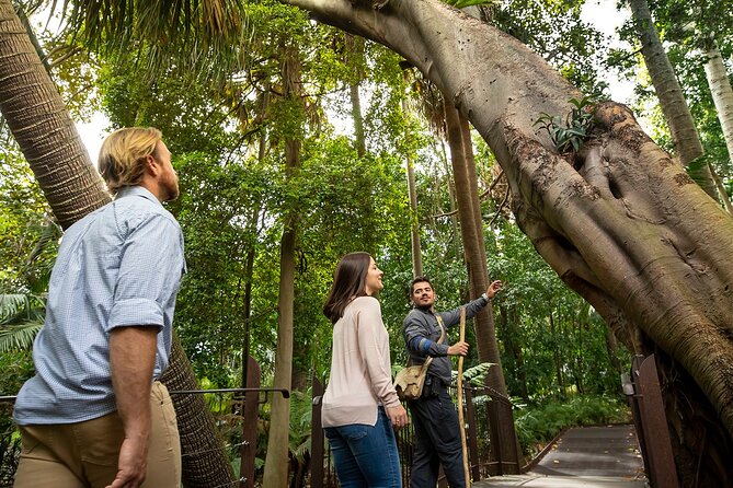 Aboriginal Heritage Walk - Royal Botanic Gardens Victoria, Melbourne Gardens - Walking through Kulin Country in the gardens