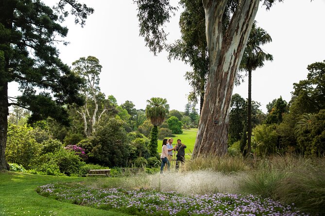 Aboriginal Heritage Walk - Royal Botanic Gardens Victoria, Melbourne Gardens - The garden setting is part of the experience