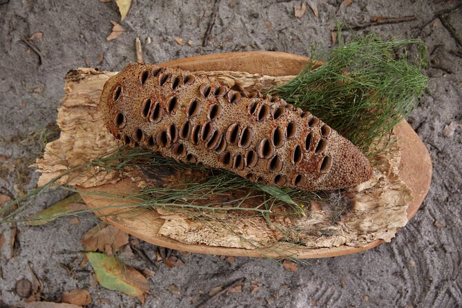 Aboriginal Heritage Walk - Royal Botanic Gardens Victoria, Melbourne Gardens - What you learn about plants, food, and medicine