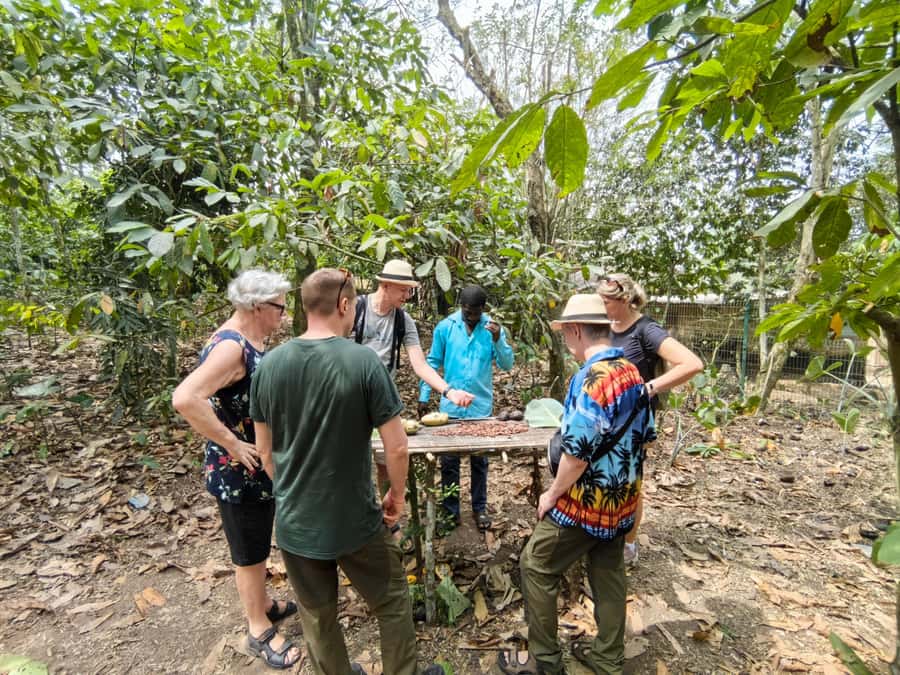 Accra: Aburi Botanical Garden, Cocoa Farm, and Waterfall … - Key points at a glance
