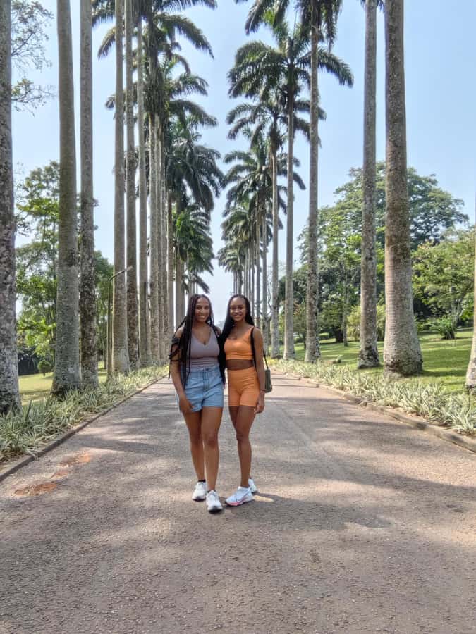 Accra: Aburi Botanical Garden, Cocoa Farm, and Waterfall … - From Accra to the Eastern Region
