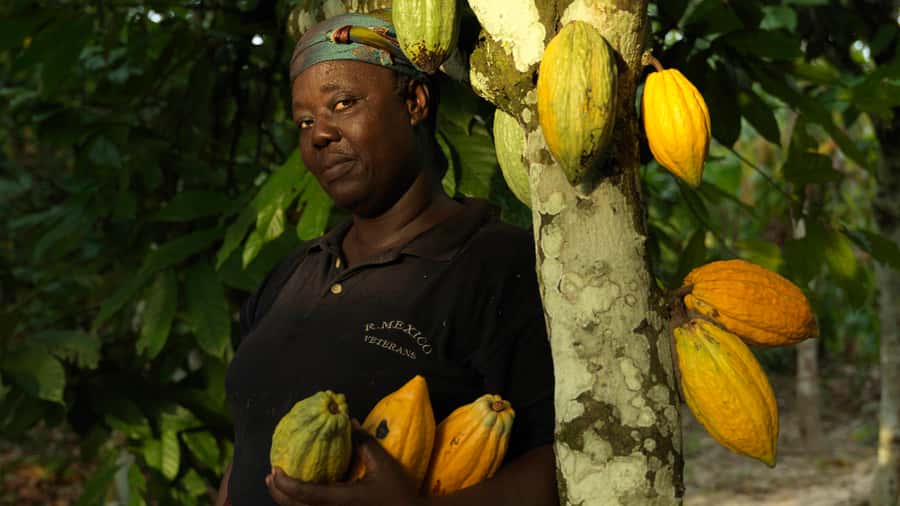 Accra Aburi Eco & Cocoa Experience: Gardens Waterfall &Lunch - From Accra to Tetteh Quarshie Cocoa Farm