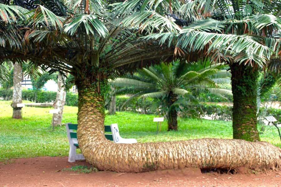Accra Aburi Eco & Cocoa Experience: Gardens Waterfall &Lunch - The waterfall stop and the value of a short nature break