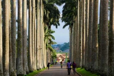 Accra Aburi Eco & Cocoa Experience: Gardens Waterfall &Lunch