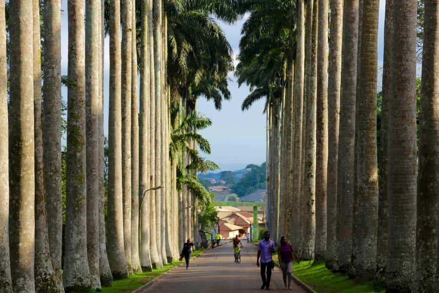 Accra Aburi Eco & Cocoa Experience: Gardens Waterfall &Lunch - Walking the Aburi Botanical Gardens
