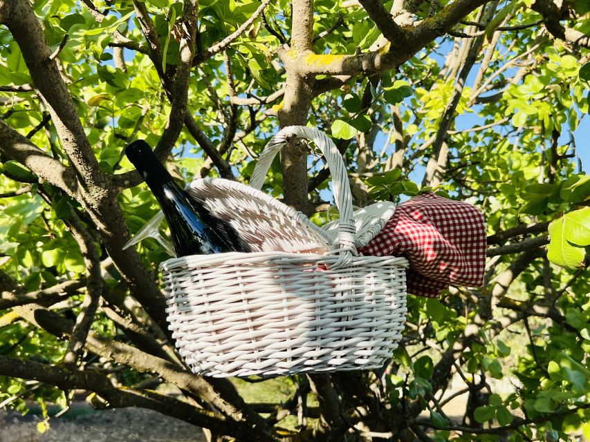 Agrigento: Valley of the Temples Gardens Picnic Experience - A peaceful stop below Agrigento’s temples