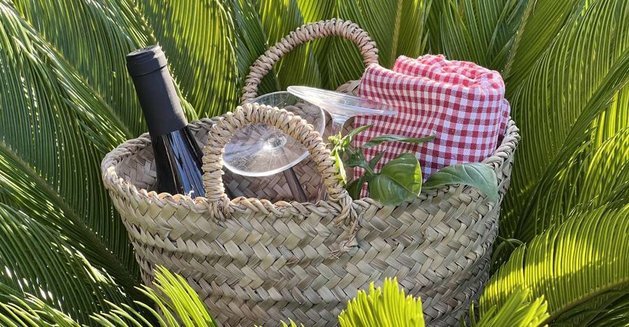 Agrigento: Valley of the Temples Gardens Picnic Experience - Walking among gardens, water, and ancient hypogea