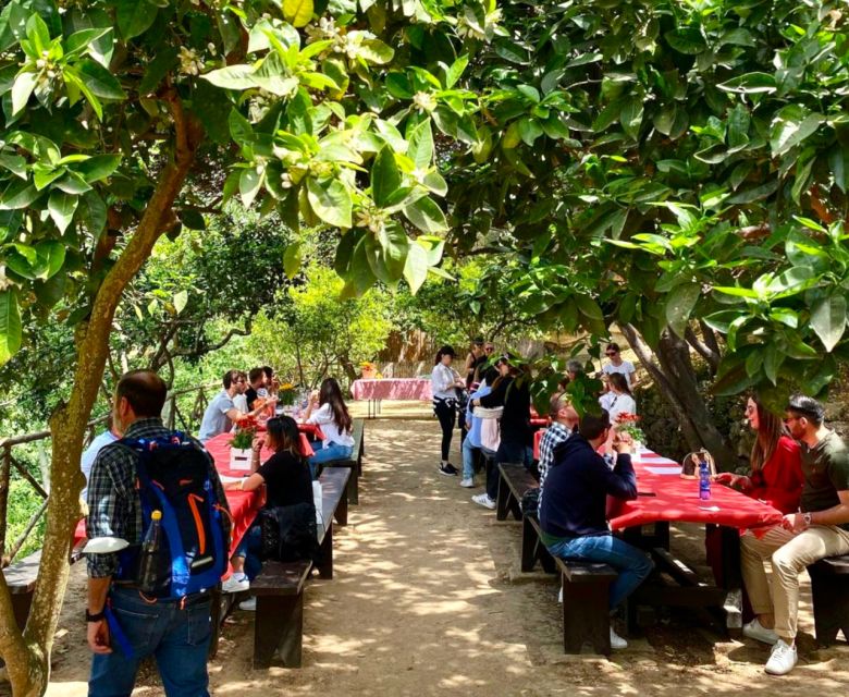 Agrigento: Valley of the Temples Gardens Picnic Experience - How much food will you actually get?
