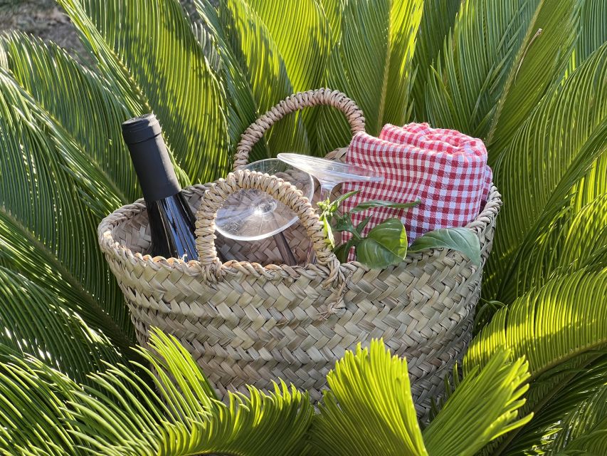Agrigento: Valley of the Temples Gardens Picnic Experience - What the 1.5-hour schedule feels like
