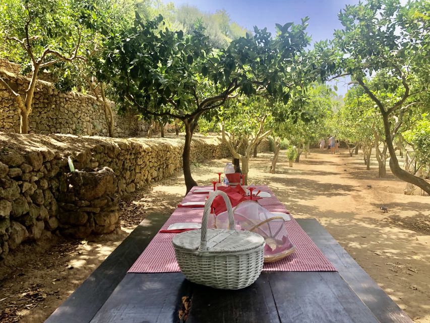 Agrigento: Valley of the Temples Gardens Picnic Experience - Who will enjoy this most
