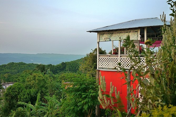 Ahhh Ras Natango Gallery and Garden Private Transfer - The People Behind Ras Natango’s Garden and Art