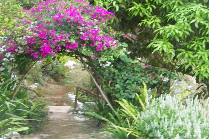Ahhh Ras Natango Gallery and Garden Private Transfer - Who Will Enjoy Ahhh Ras Natango Most