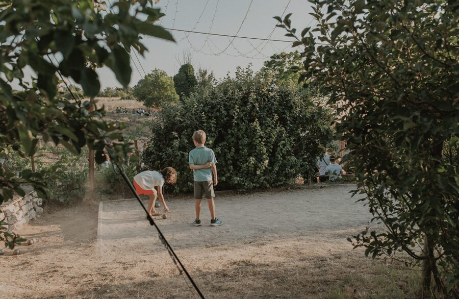 Aix-en-Provence: Lavender Fields Visit - Quiet extras: mats, pétanque, sunflowers, and farm animals