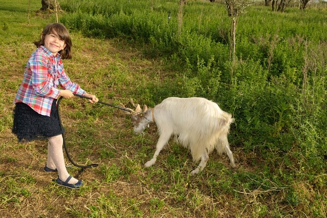 Alcamo Farm Animals and Aromatic Garden - The aromatic garden and its small bouquet