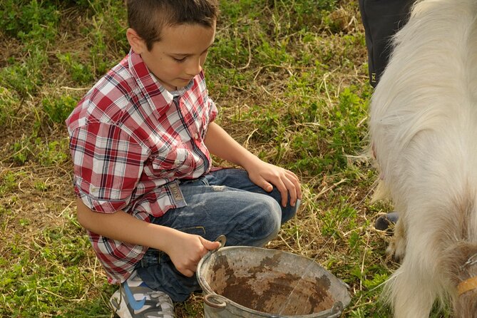 Alcamo Farm Animals and Aromatic Garden - Who will enjoy this farm visit most