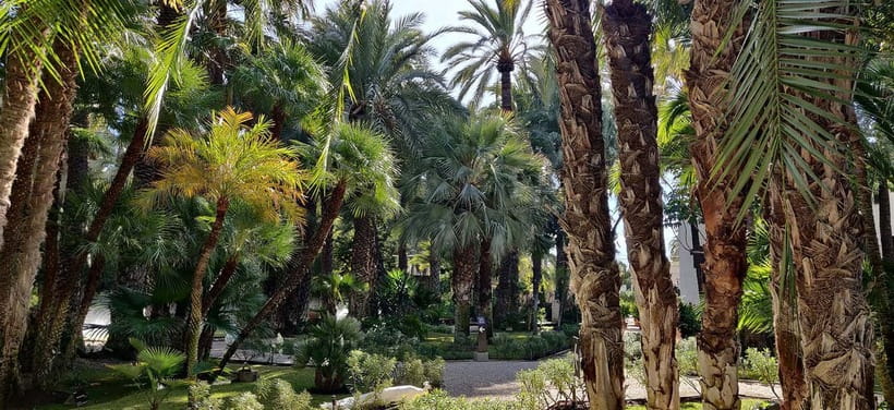 Alicante: UNESCO Heritage Palm grove + Artistic Garden Tour - Practical tips for getting more from the gardens