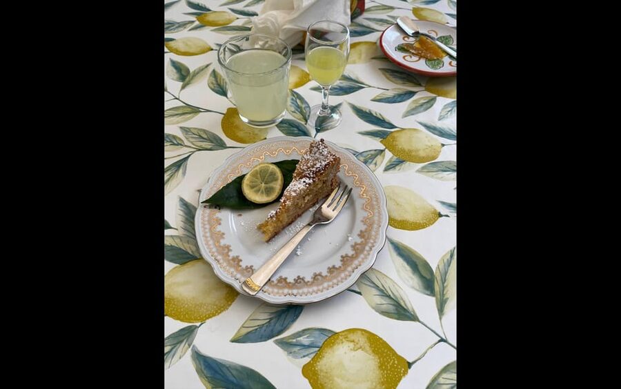 Amalfi Organic Lemon Tour & Tasting in the Historical Garden - Timing your visit around the lemon season