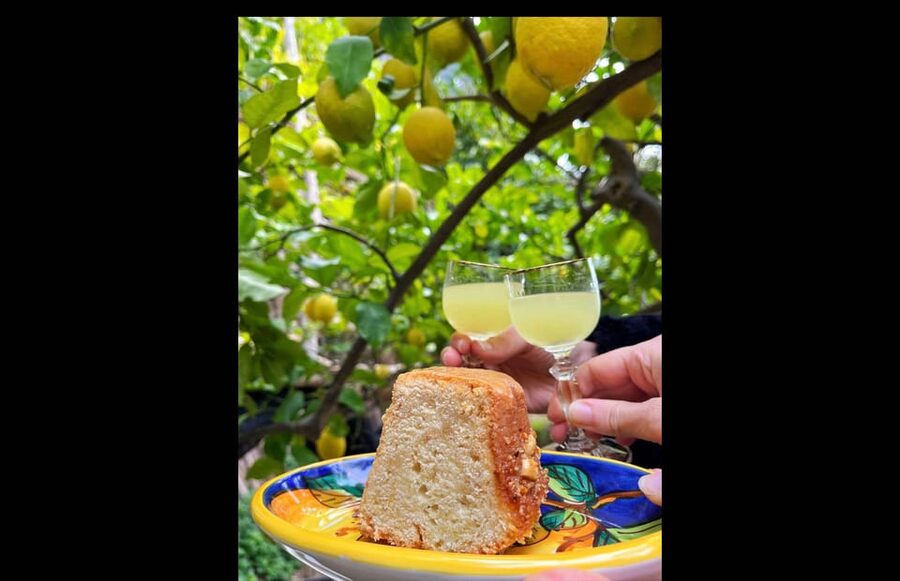 Amalfi Organic Lemon Tour & Tasting in the Historical Garden - The sea view and the lemon tasting