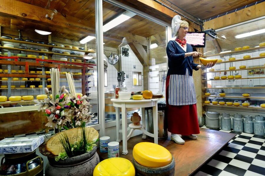Amsterdam: Day Tour Keukenhof and Zaanse Schans Windmills - Key points to know before booking