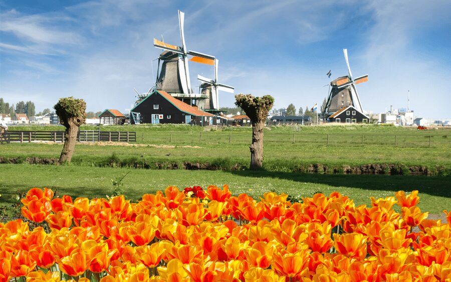 Amsterdam: Day Tour Keukenhof and Zaanse Schans Windmills - Two Dutch highlights in one eight-hour day