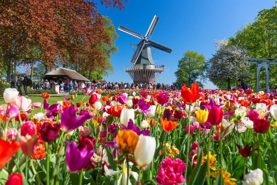 Amsterdam: Day Tour Keukenhof and Zaanse Schans Windmills - Who should book this day trip?