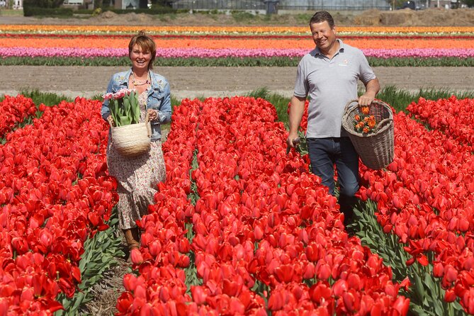 Amsterdam: Day trip to Tulip Farm, Keukenhof + Windmill Cruise - Why this Amsterdam flower day works