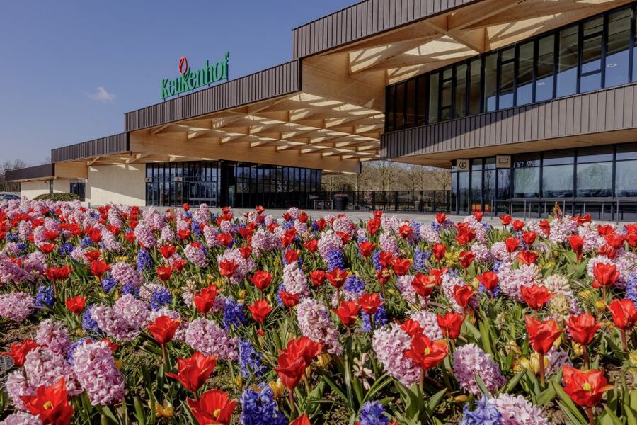 Amsterdam: Half-Day Flower Fields and Keukenhof Bicycle Tour - Why this tour works better than a simple Keukenhof visit