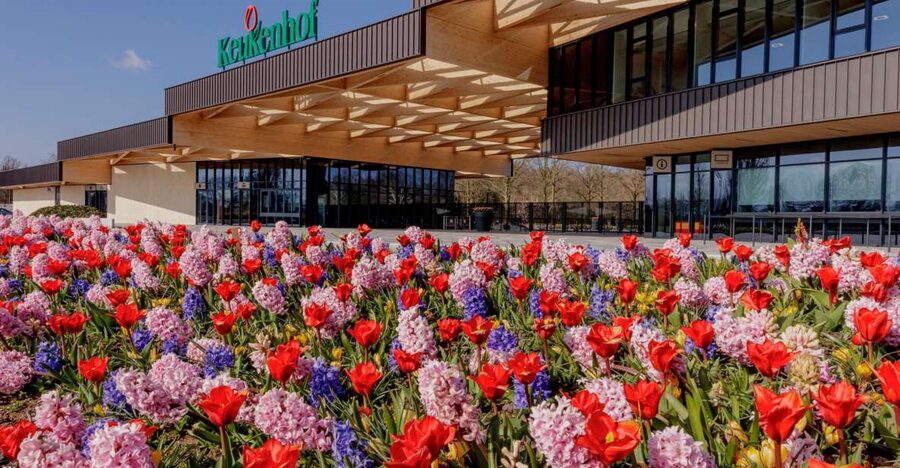 Amsterdam: Half-Day Flower Fields and Keukenhof Bicycle Tour - Collecting your bicycle in Hillegom