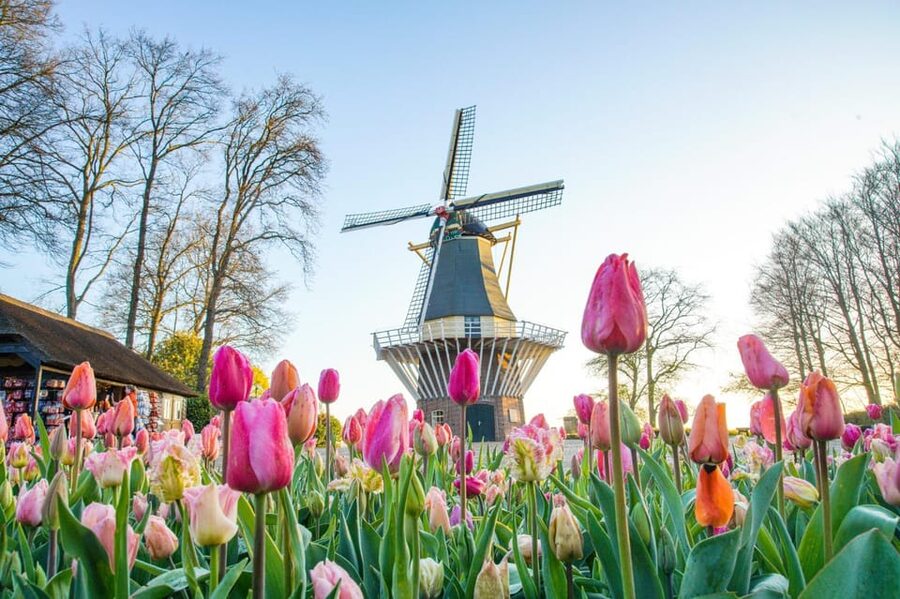 Amsterdam: Keukenhof and Zaanse Schans Live Guided Day Tour - The clog workshop is short but worth seeing
