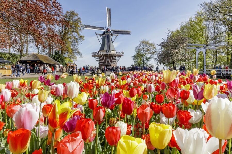 Amsterdam: Keukenhof and Zaanse Schans Live Guided Day Tour - The order can change, and that is a good thing