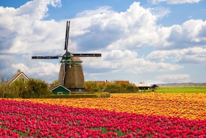 Amsterdam: Keukenhof and Zaanse Schans Windmills Guided Day Trip - The ride through Lisse and the bulb-growing area