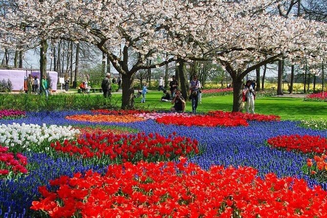 Amsterdam: Keukenhof Entry & Shuttle Bus with Flexible Return - The best time to visit Keukenhof