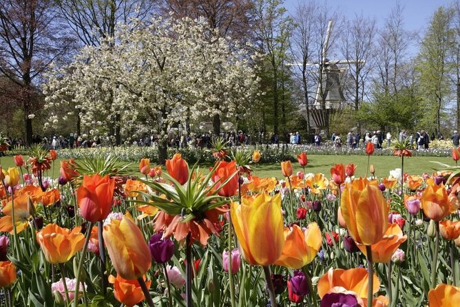 Amsterdam: Keukenhof Entry & Shuttle Bus with Flexible Return - Boarding the coach and handling the queue
