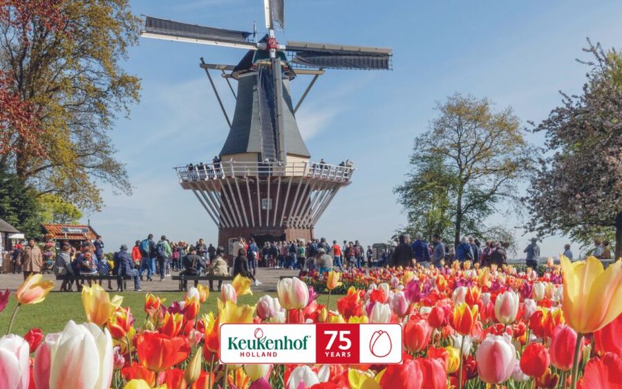Amsterdam: Keukenhof Entry & Shuttlebus with Flexible Return - Who should book this experience