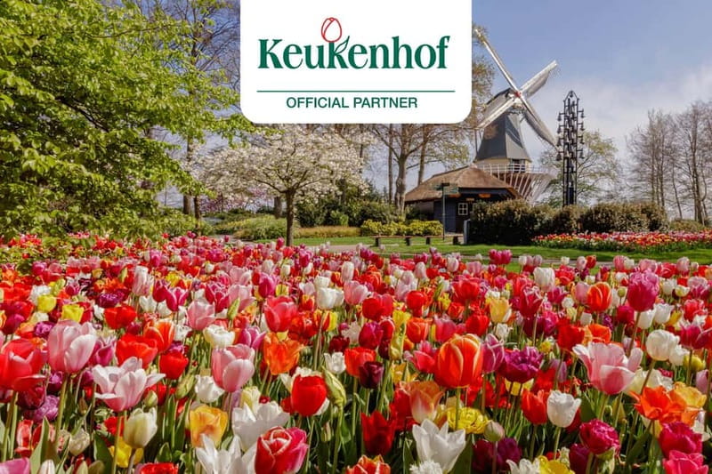 Amsterdam: Keukenhof Entry & Shuttlebus with Flexible Return - Why this shuttle works so well for Keukenhof