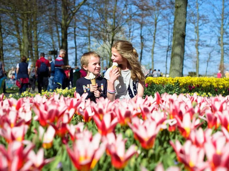 Amsterdam: Keukenhof Entry & Shuttlebus with Flexible Return - The 35 to 50 minute ride to Keukenhof