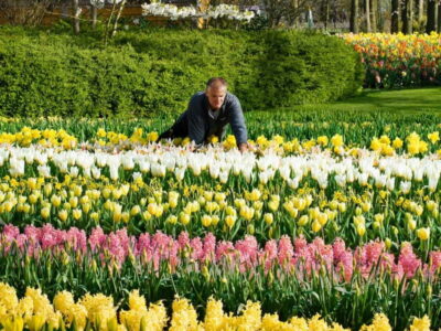 Keukenhof Entry & Shuttlebus with Flexible Return