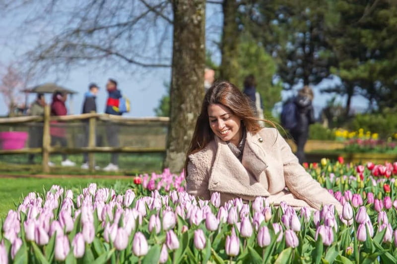 Amsterdam: Keukenhof Entry & Shuttlebus with Flexible Return - Choosing the right flowering date