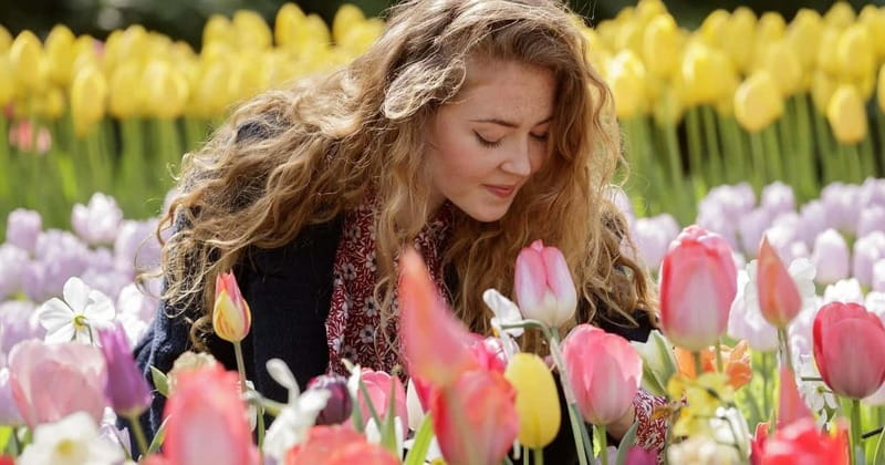 Amsterdam: Keukenhof Entry & Shuttlebus with Flexible Return - Returning to Amsterdam every 30 minutes