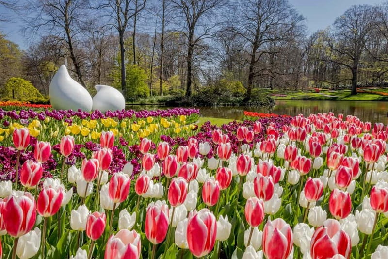 Amsterdam: Keukenhof Entry & Shuttlebus with Flexible Return - What the $41 price really buys you