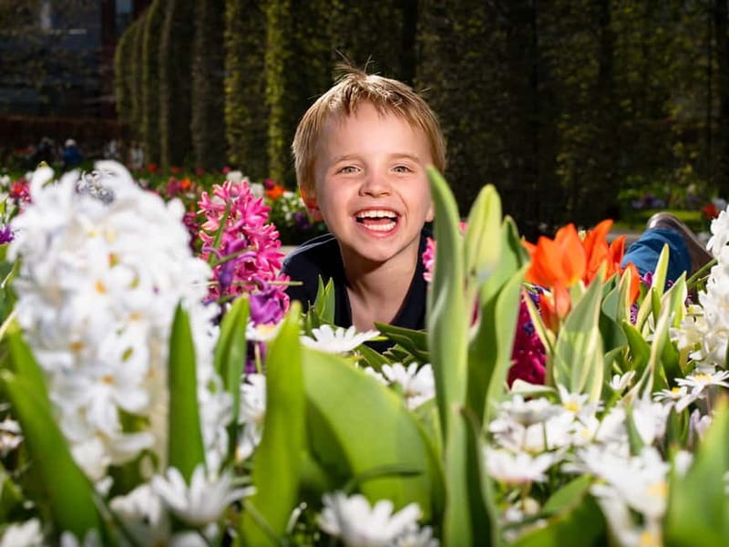 Amsterdam: Keukenhof Entry & Shuttlebus with Flexible Return - Crowds, comfort, and the small weak spots