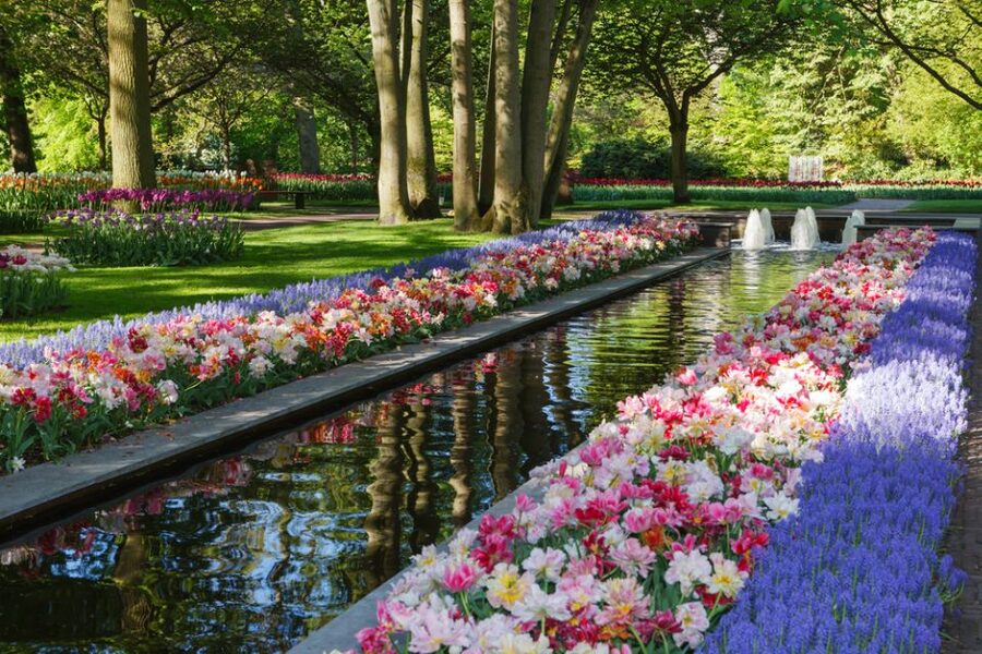 Amsterdam: Keukenhof Gardens Guided Tour Spanish and English - Why Keukenhof is worth the trip from Amsterdam
