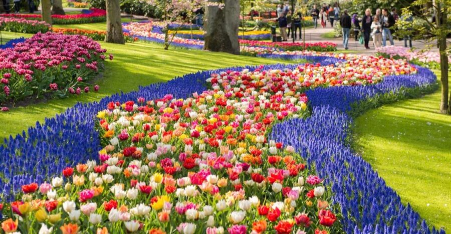 Amsterdam: Keukenhof Gardens Guided Tour Spanish and English - Who should book this Keukenhof trip?